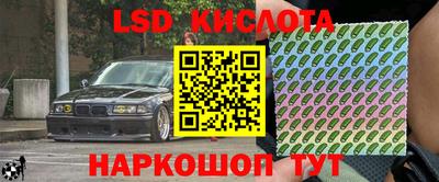 PSILOCYBIN Бугуруслан