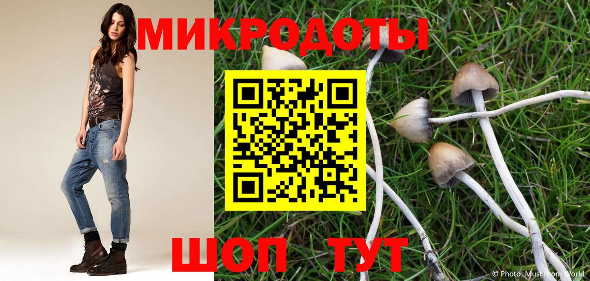 Галлюциногенные грибы Cubensis  Вход с VPN  Холмск  Псилоцибиновые грибы прущие грибы 
